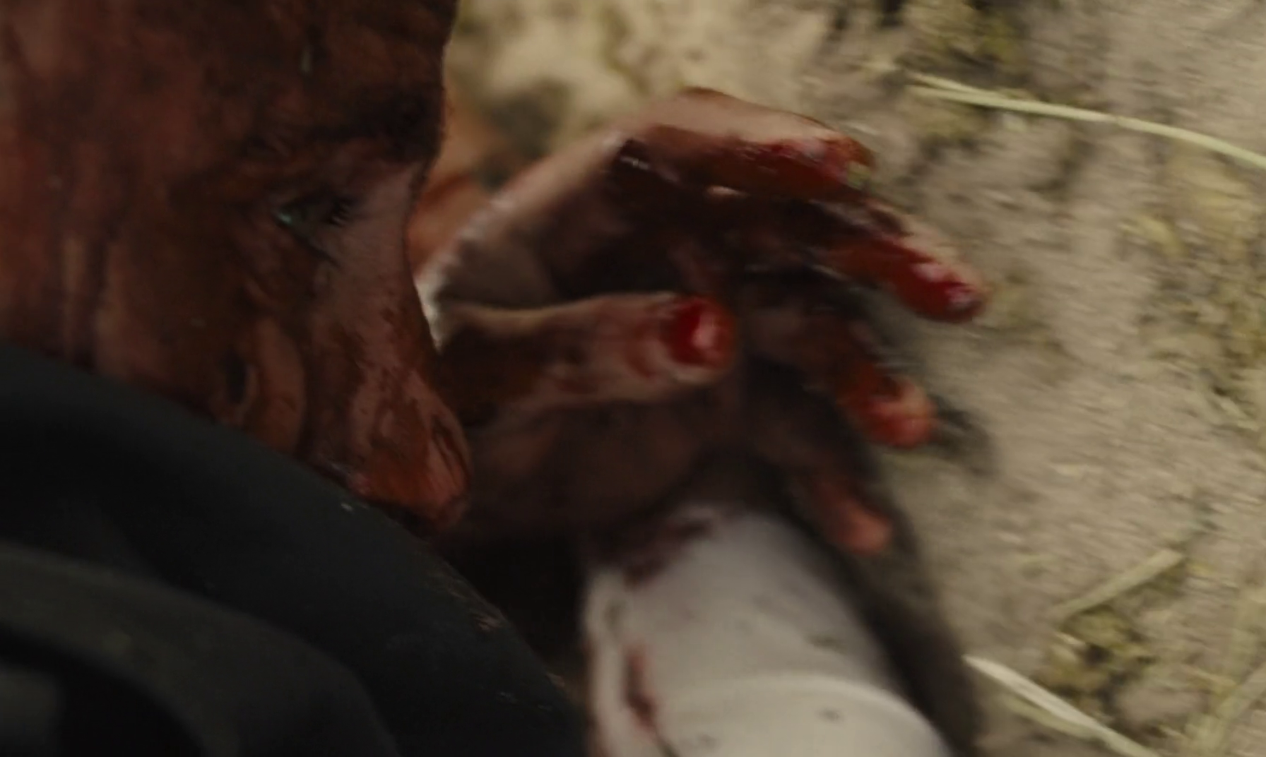 vlcsnap-2019-07-02-21h05m42s387