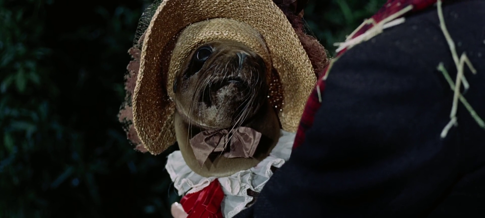 vlcsnap-2019-12-19-17h35m00s238